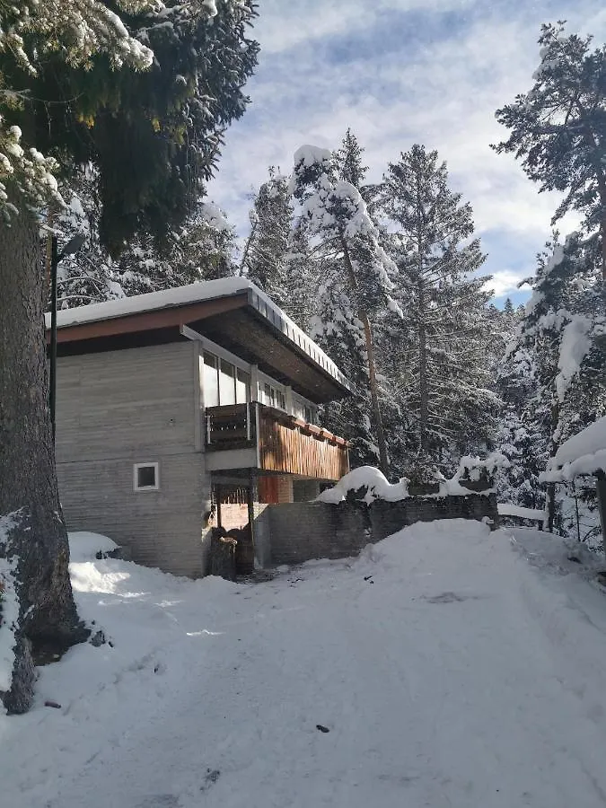Chalet Nel Bosco ボルカ・ディ・カドーレ 0*,  イタリア
